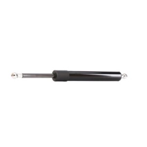 Tailgate Strut - RIDEX 219G0400