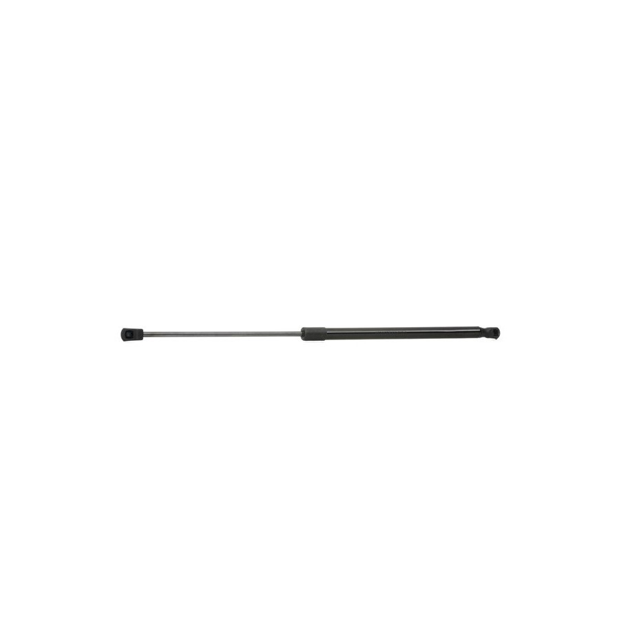 Tailgate Strut - RIDEX 219G0432