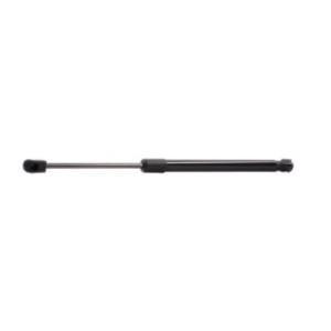 Tailgate Strut - RIDEX 219G0398