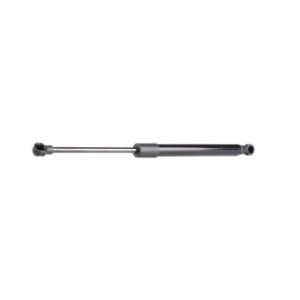 Tailgate Strut - RIDEX 219G0440