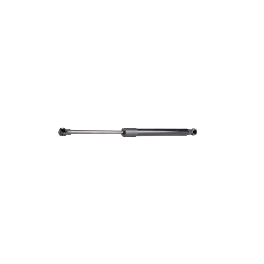 Tailgate Strut - RIDEX 219G0440