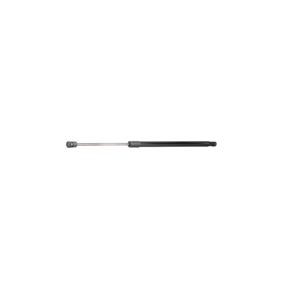 Tailgate Strut - RIDEX 219G0396