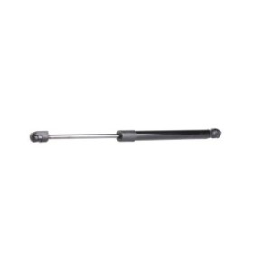Tailgate Strut - RIDEX 219G0419