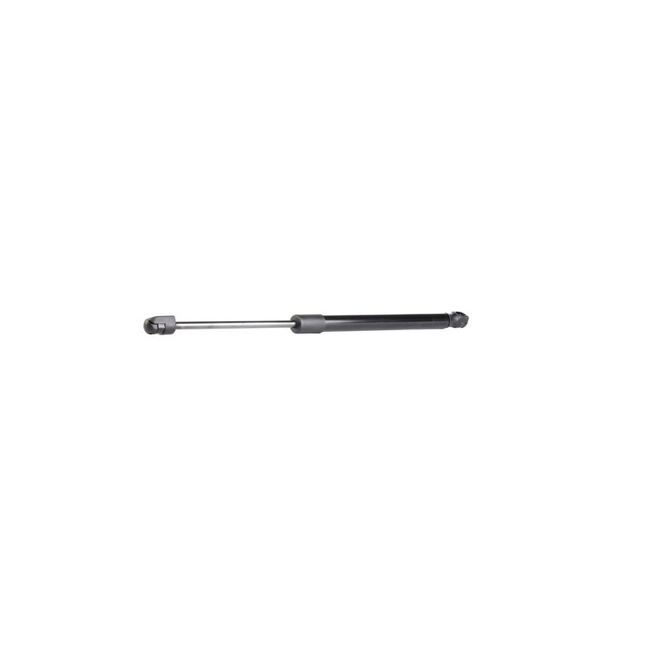 Tailgate Strut - RIDEX 219G0419