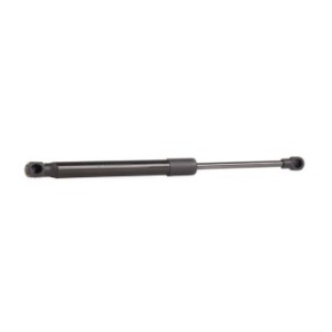 Tailgate Strut - RIDEX 219G0550