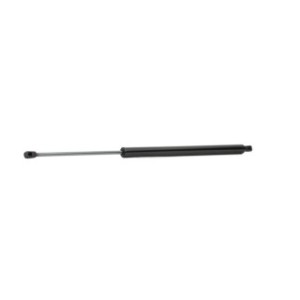 Tailgate Strut - RIDEX 219G0624
