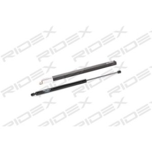 Tailgate Strut - RIDEX 219G0624