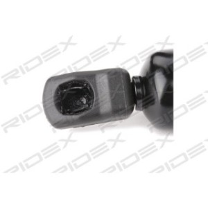 Tailgate Strut - RIDEX 219G0624