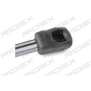 Tailgate Strut - RIDEX 219G0624
