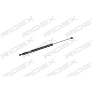 Tailgate Strut - RIDEX 219G0624