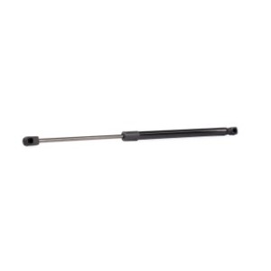 Tailgate Strut - RIDEX 219G0631