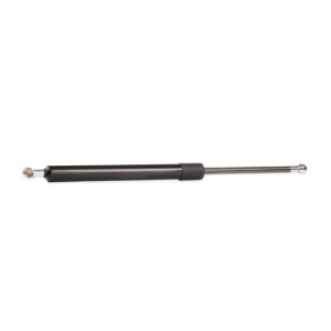 Tailgate Strut - RIDEX 219G0530