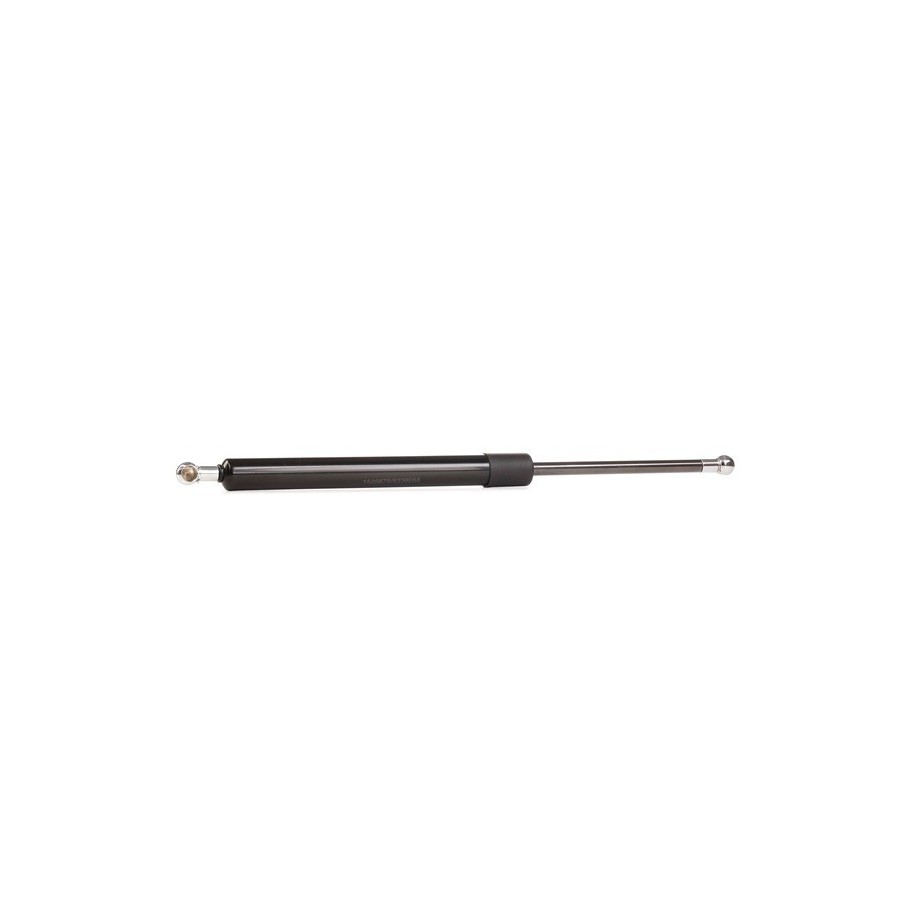 Tailgate Strut - RIDEX 219G0530