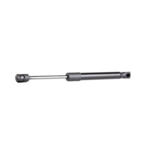 Tailgate Strut - RIDEX 219G0518
