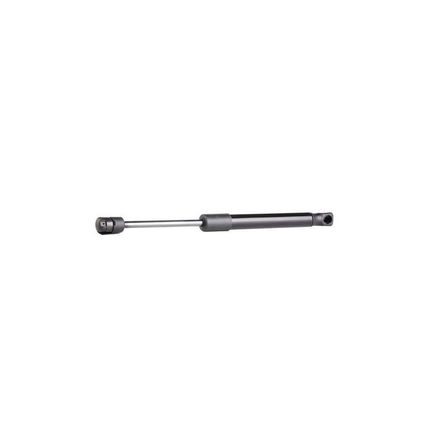 Tailgate Strut - RIDEX 219G0518