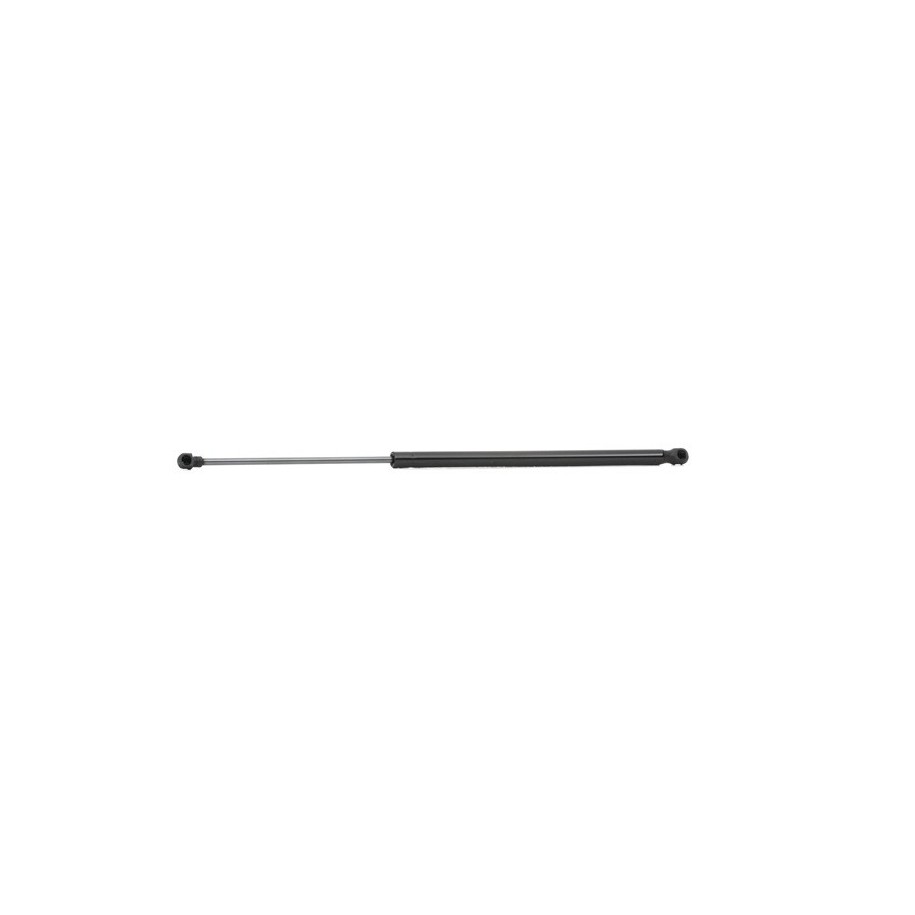 Tailgate Strut - RIDEX 219G0392