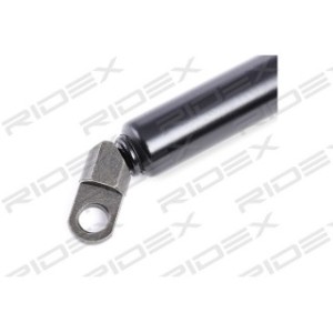 Tailgate Strut - RIDEX 219G0436