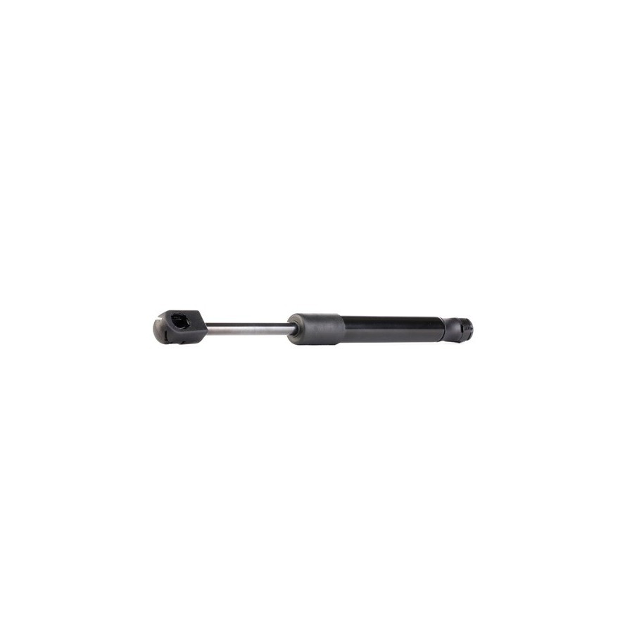 Tailgate Strut - RIDEX 219G0458