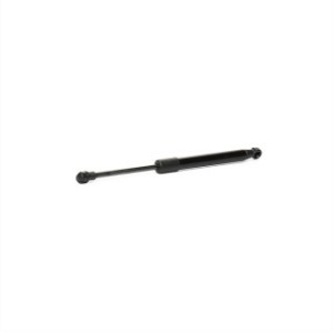 Tailgate Strut - RIDEX 219G0572