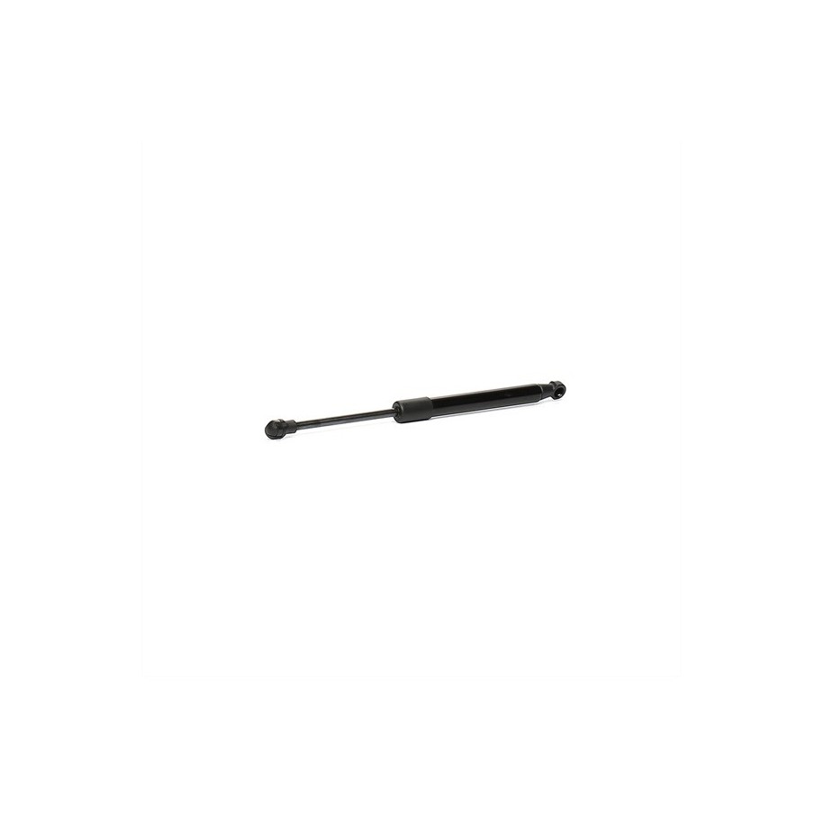 Tailgate Strut - RIDEX 219G0572