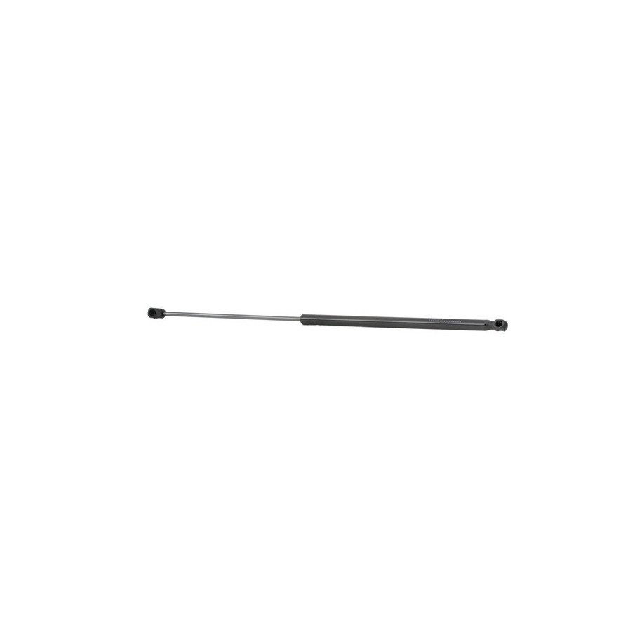 Tailgate Strut - RIDEX 219G0430
