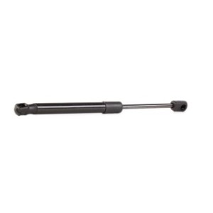 Tailgate Strut - RIDEX 219G0454