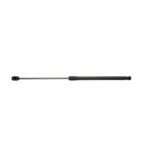 Tailgate Strut - RIDEX 219G0498