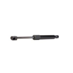 Tailgate Strut - RIDEX 219G0625