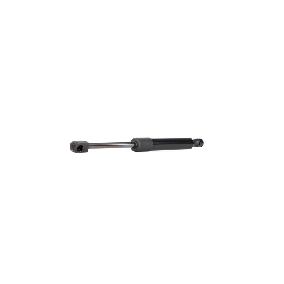 Tailgate Strut - RIDEX 219G0625
