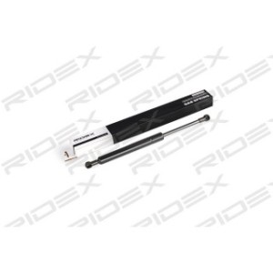 Tailgate Strut - RIDEX 219G0625