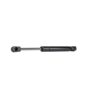 Tailgate Strut - RIDEX 219G0541