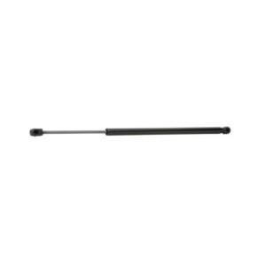 Tailgate Strut - RIDEX 219G0484