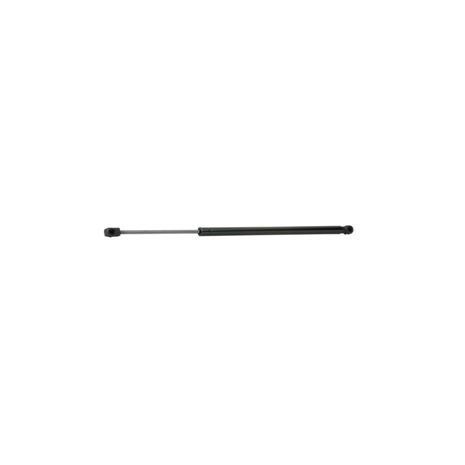 Tailgate Strut - RIDEX 219G0484