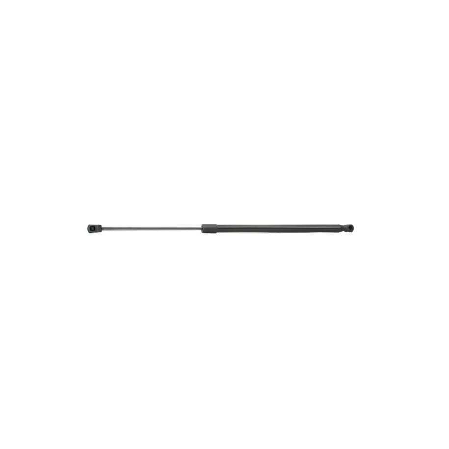 Tailgate Strut - RIDEX 219G0536