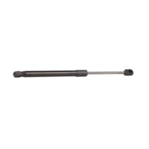 Tailgate Strut - RIDEX 219G0519