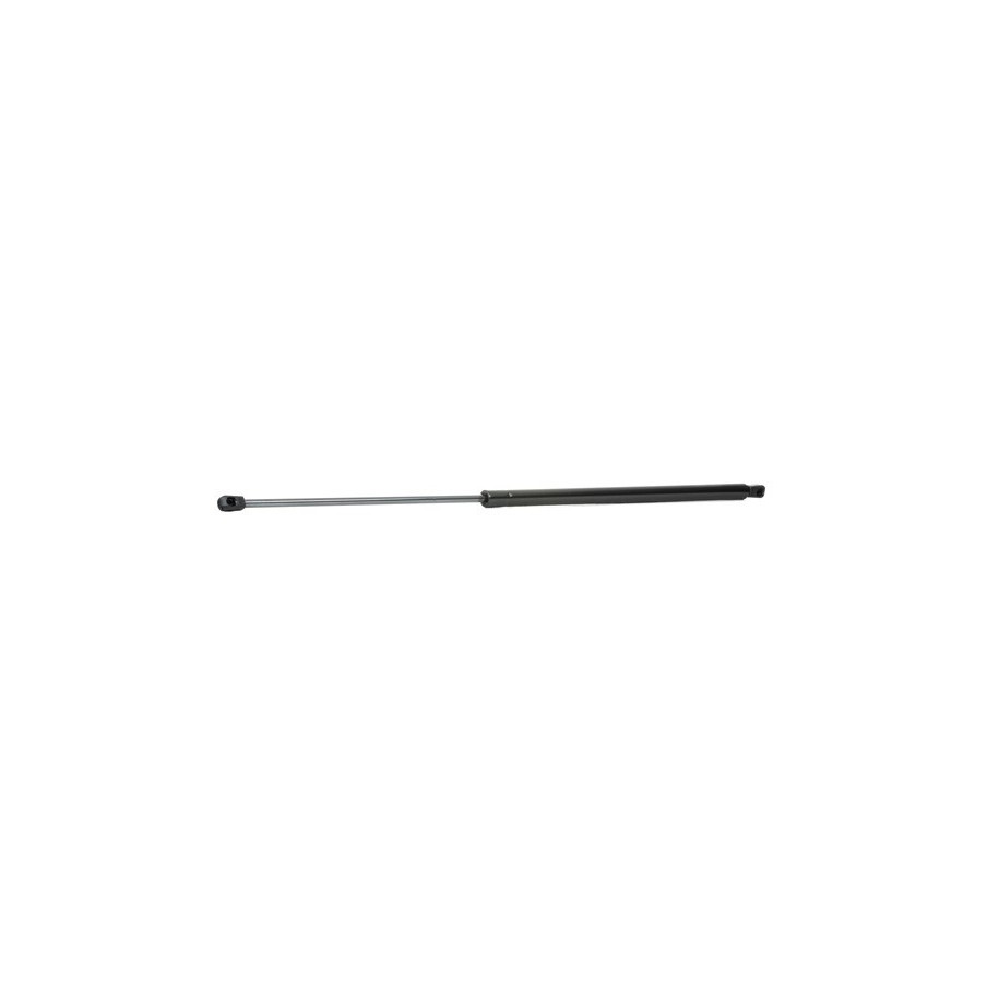 Tailgate Strut - RIDEX 219G0601