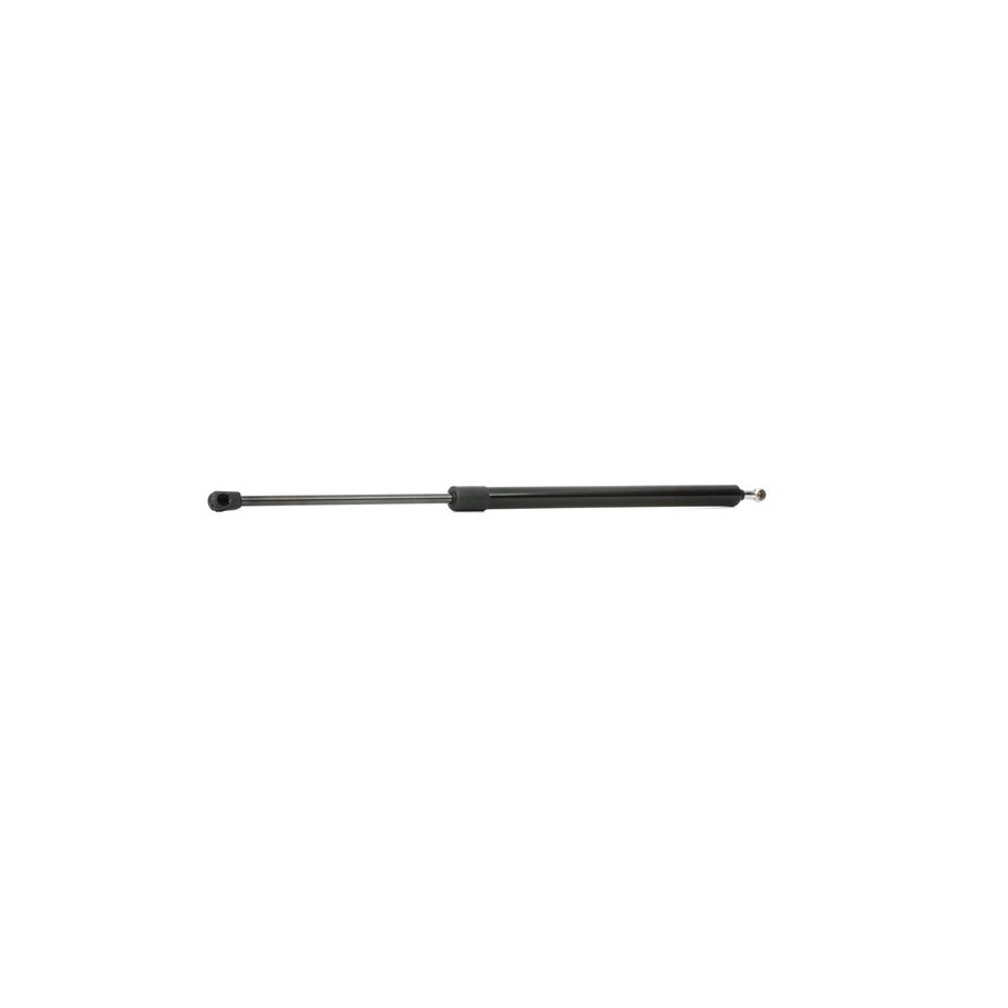 Tailgate Strut - RIDEX 219G0609