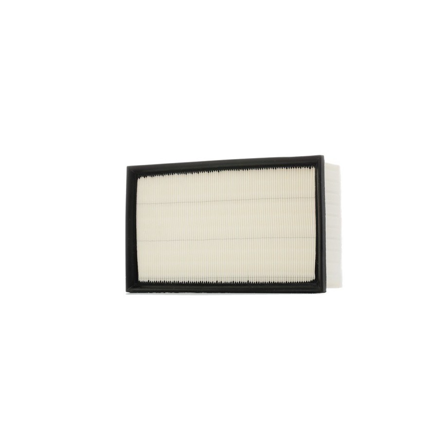 Air Filter - RIDEX 8A0160