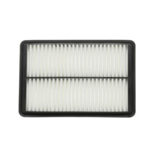 Air Filter - RIDEX 8A0539