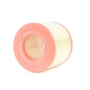 Air Filter - RIDEX 8A0541