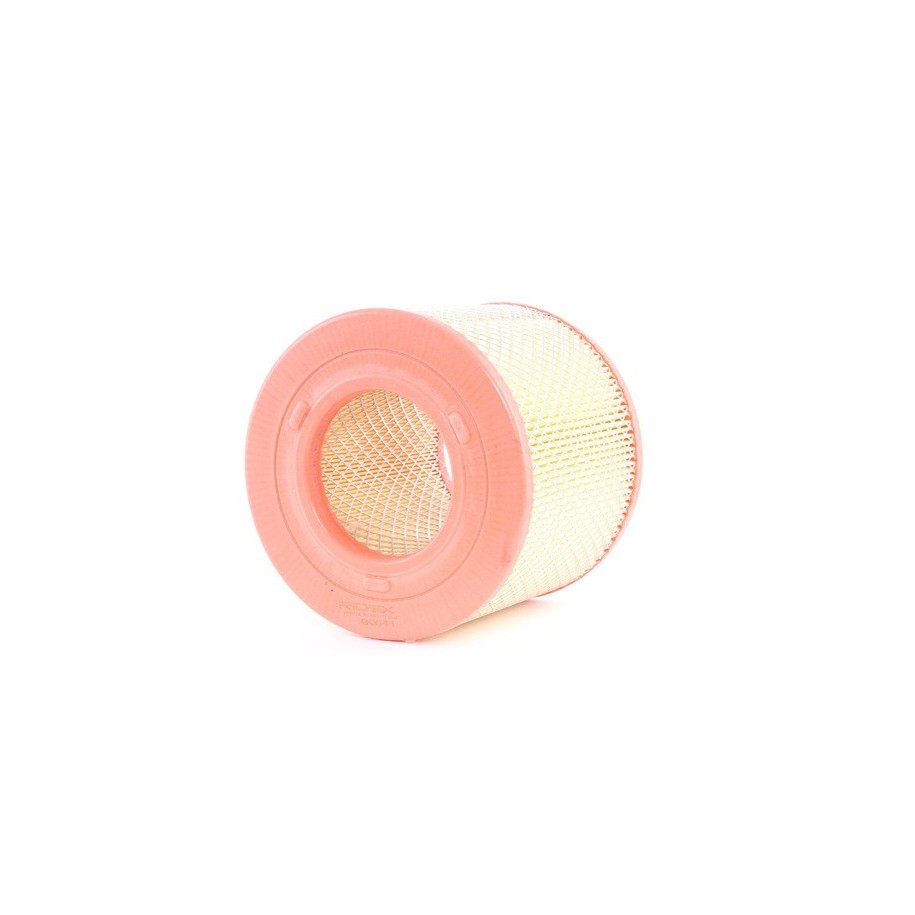 Air Filter - RIDEX 8A0541