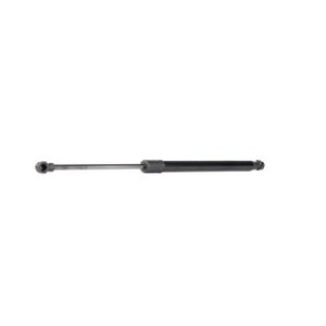 Tailgate Strut - RIDEX 219G0409