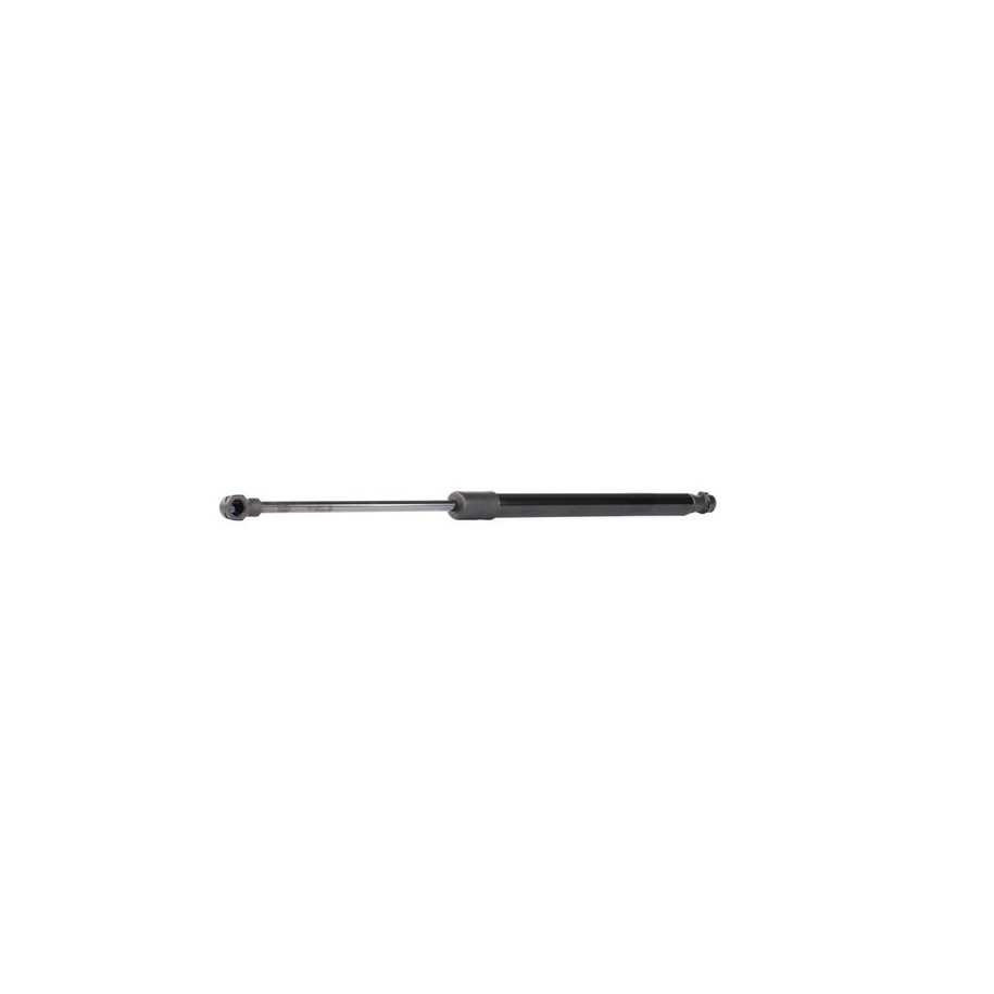 Tailgate Strut - RIDEX 219G0409