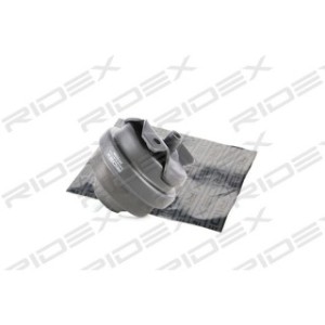 Engine Mounting - RIDEX 247E0205