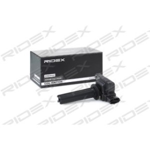 Ignition Coil - RIDEX 689C0051