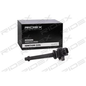 Ignition Coil - RIDEX 689C0293