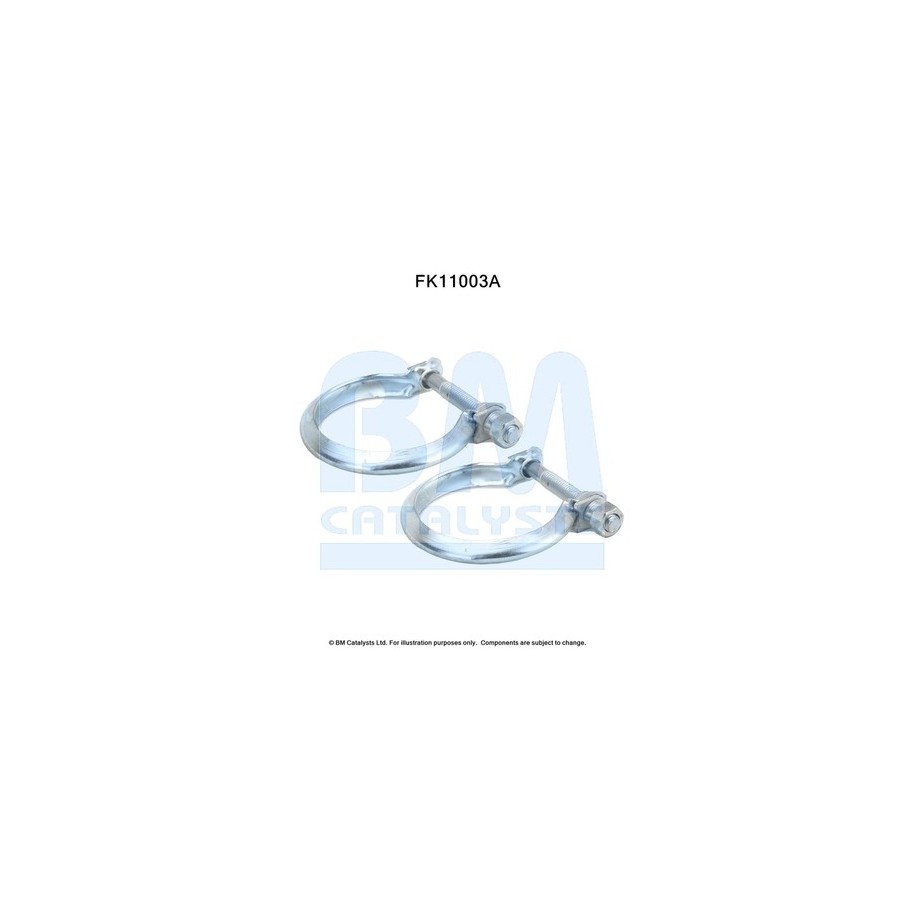 Diesel Particulate Filter Fitting Kit - BM Catalysts FK11003