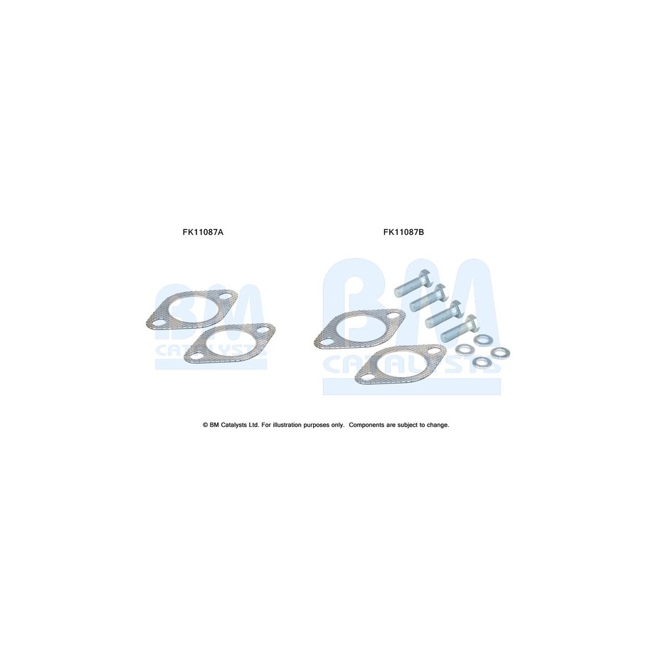 Diesel Particulate Filter Fitting Kit - BM Catalysts FK11087