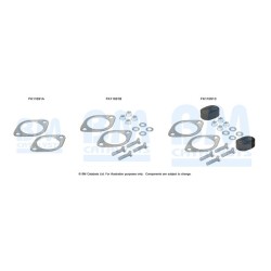 Diesel Particulate Filter Fitting Kit - BM Catalysts FK11091