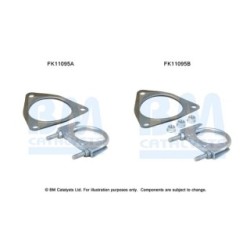 Diesel Particulate Filter Fitting Kit - BM Catalysts FK11095